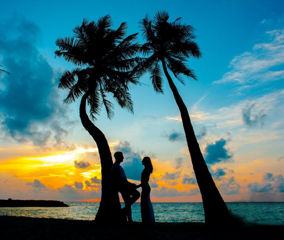 silhouette-photo-of-male-and-female-under-palm-trees-1024981